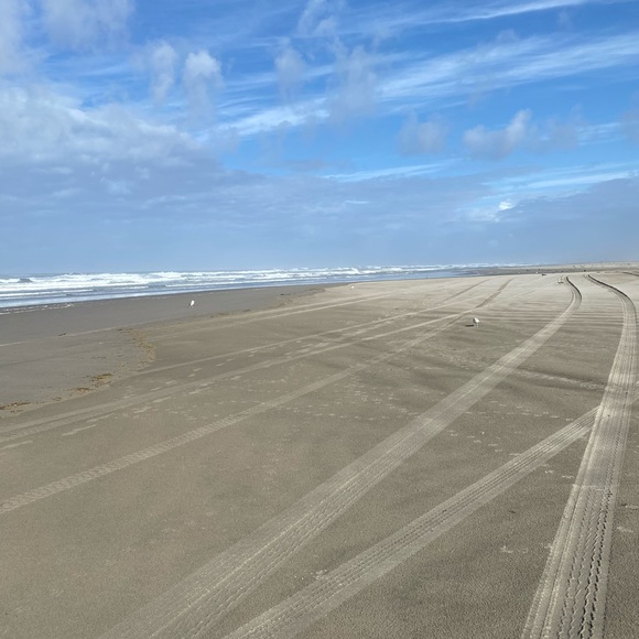 Meet your Posher, Wood Closet - Picture 1 of 1